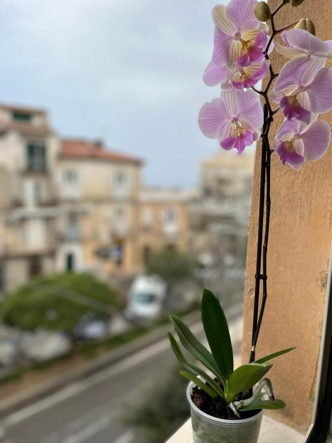 Don Ugo Luxury Rooms تروبيا المظهر الخارجي الصورة